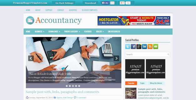 Accountancy Template