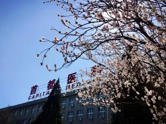 d1607630d2387427383f8eca9c4638c3.png