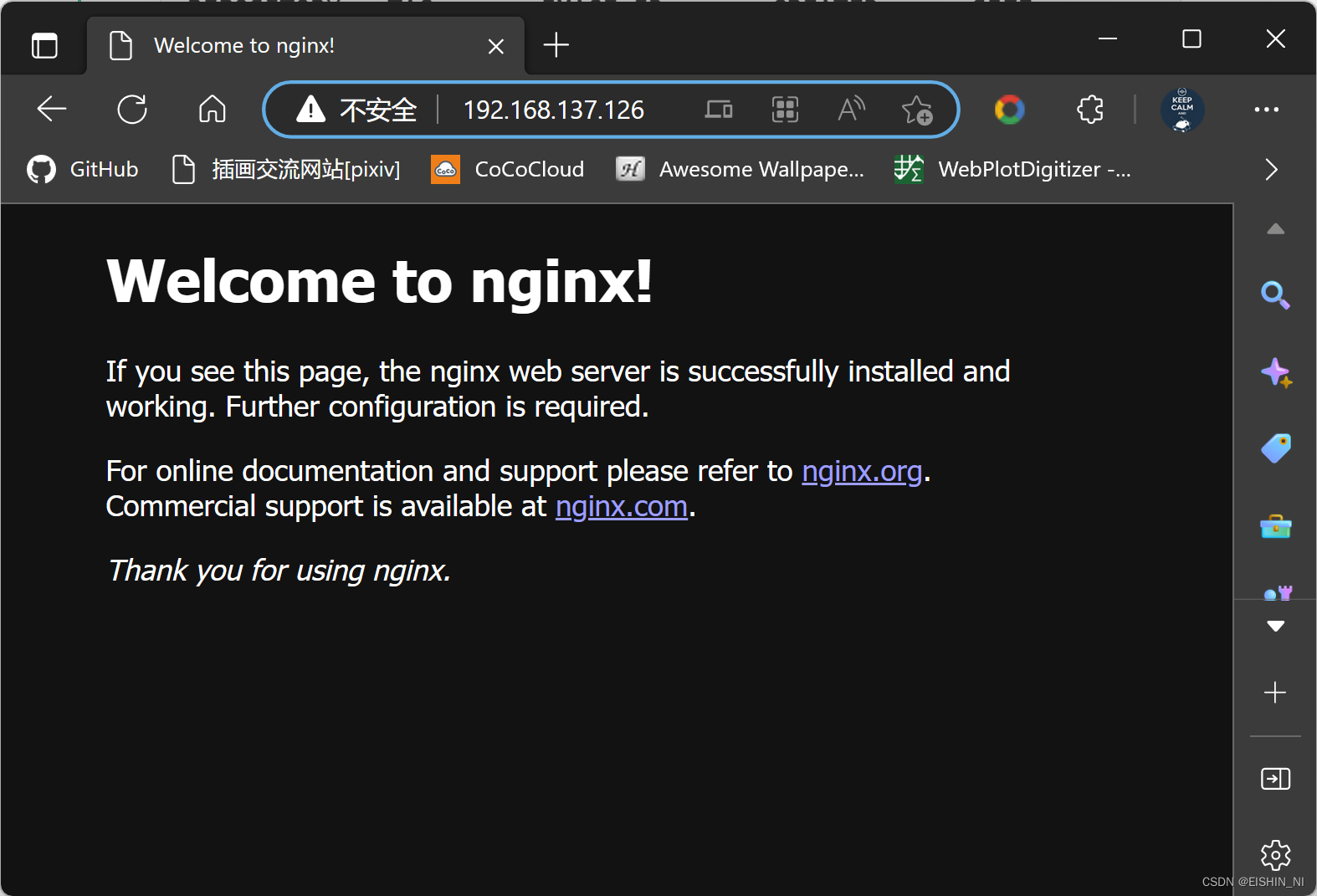 nginx客服端访问