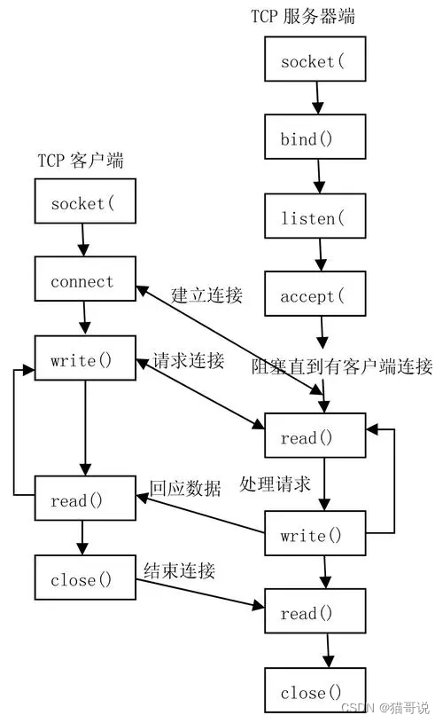 Socket网络编程(服务端和客户端代码示例)_socket 服务代码-CSDN博客