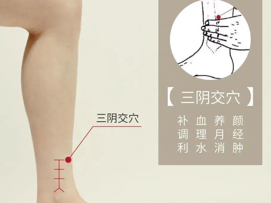 脾虚,人就废了一半!脾虚分3种,分清是哪一种,才能对症补脾!_五指毛桃气虚脾虚-CSDN博客