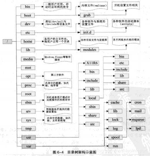 在linux系统下的目录树架构