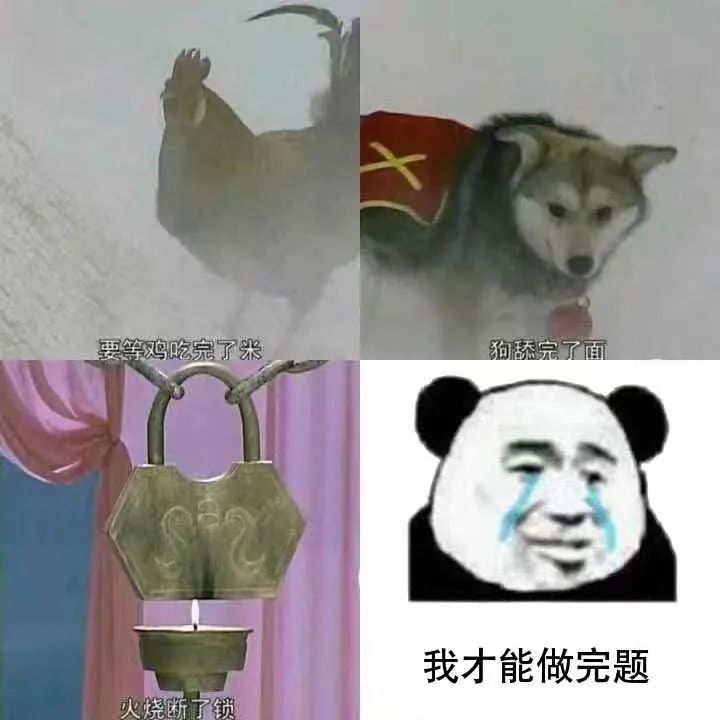 b9574fe49033fec0ecf67434ec24309c.jpeg