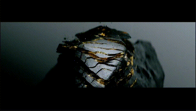 2cf94fbc8f998056b3ad55e1f436bb87.gif