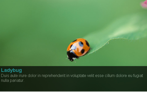 20 Helpful jQuery Tutorials and Plugins 20 Helpful jQuery Tutorials and Plugins