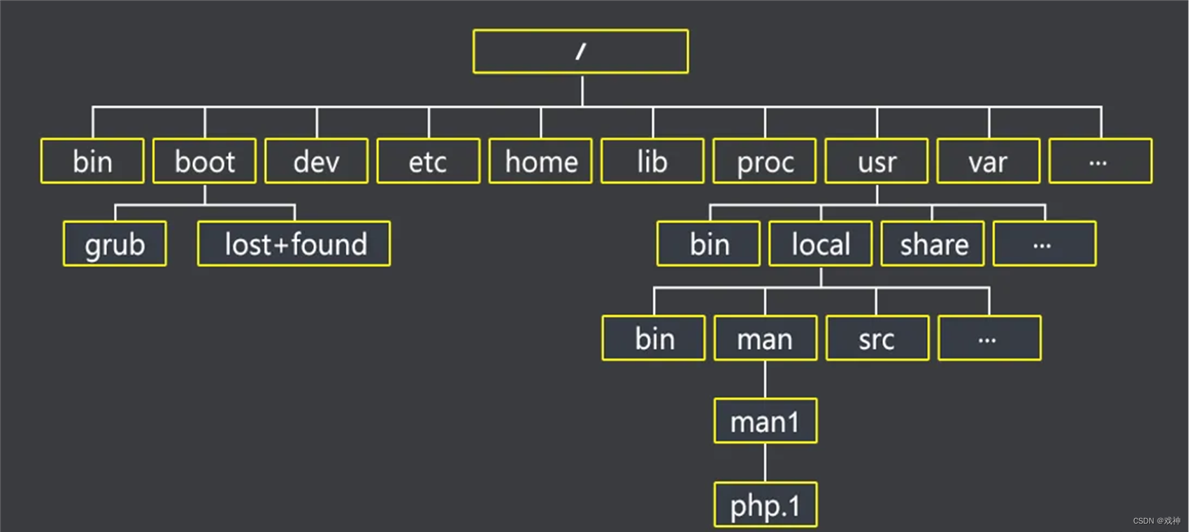 Linux文件和目录管理_root 表示管理员用户使用的目录-CSDN博客