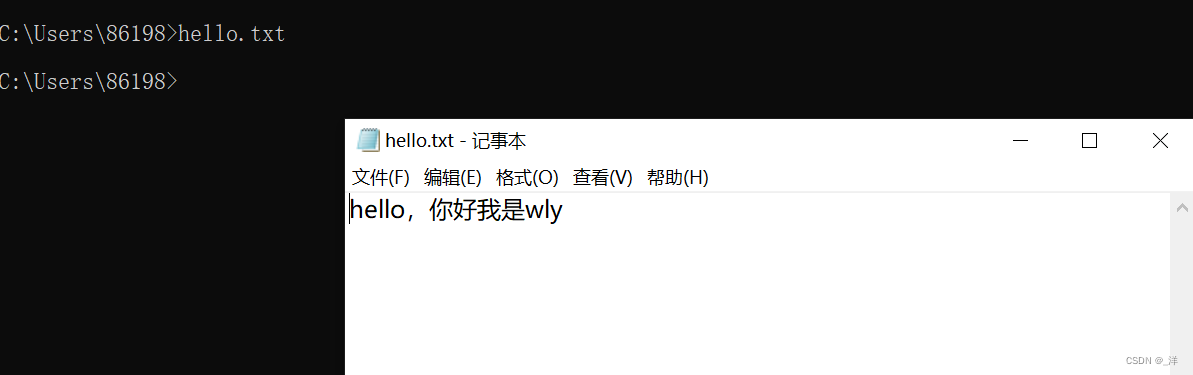 在这里插入图片描述