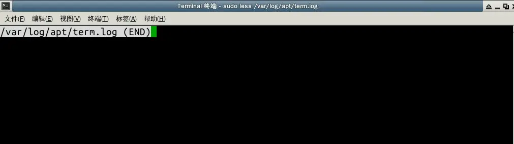 开始时的term.log文件.png