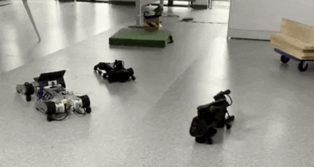 f21e9dc6cfe042bf202689035408bd44.gif