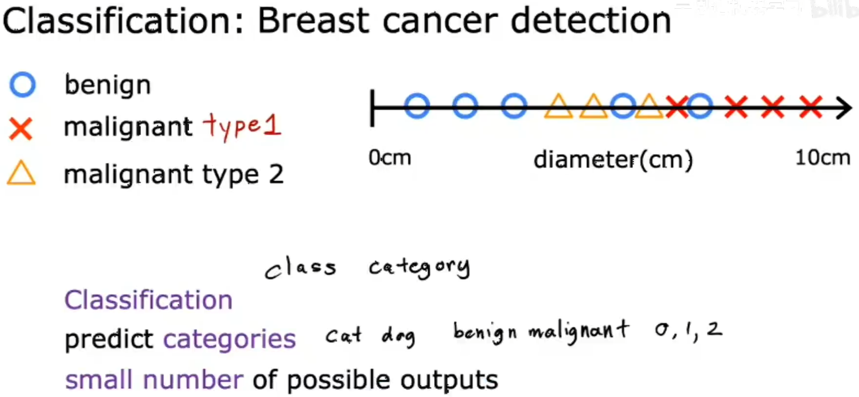 image-20231221233327434