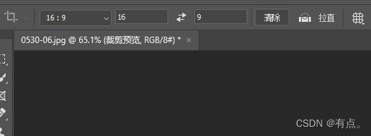 PS系统教程06-图片裁剪-详细版插图9 在这里插入图片描述