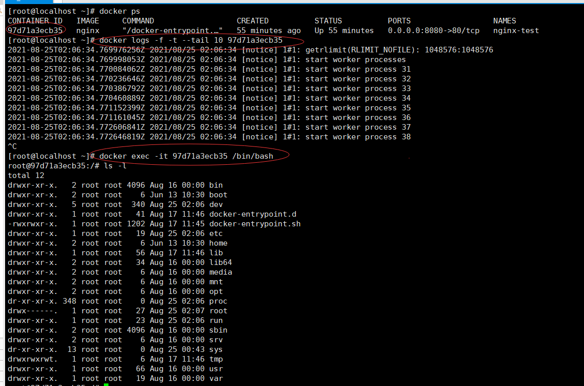 image-20210825110300644