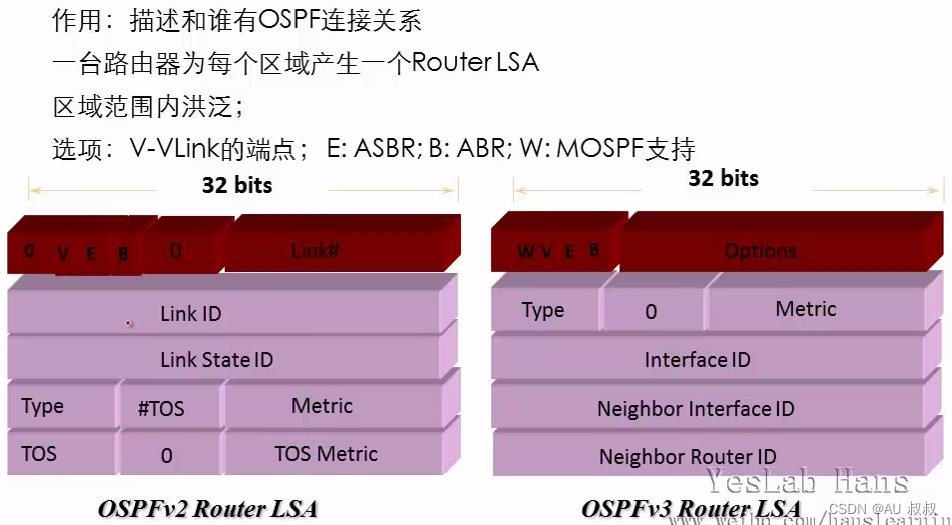 3.2.17 Router LSA(1类LSA)_锐捷 lsa-CSDN博客