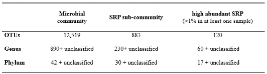 pcr管是什么MPB ｜ 中科院生态环境中心邓晔等-细胞内融合基因技术 (epicPCR) 测定功能类群多样性..._https://www.jmylbn.com_新闻资讯_第5张