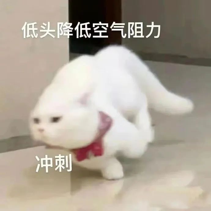 2b93ec758b9c1834d439f697595aaba4.jpeg