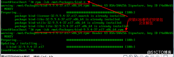Linux搭建DNS服务