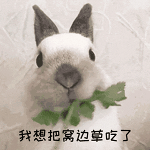 f246df4d971b2378016e21ac5d3bca57.gif