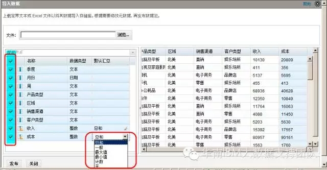cognos