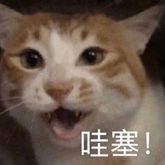 QQ图片20220115155355.jpg