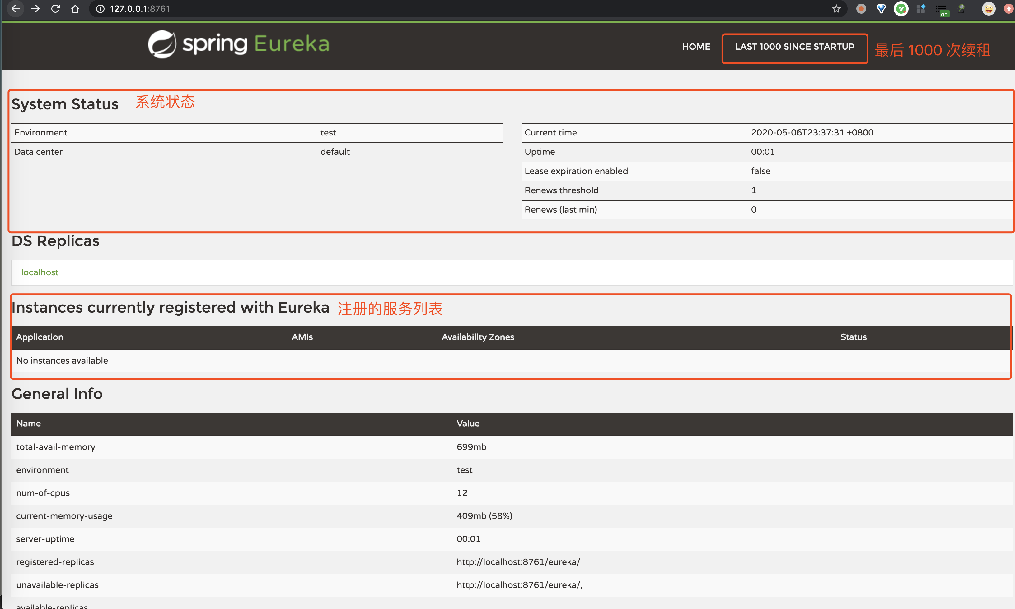 Eureka-Server 运维界面