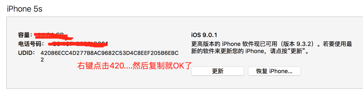 AppRealTest25