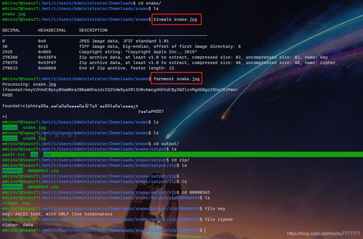 图片隐藏信息解密：Serpent加密挑战-CSDN博客