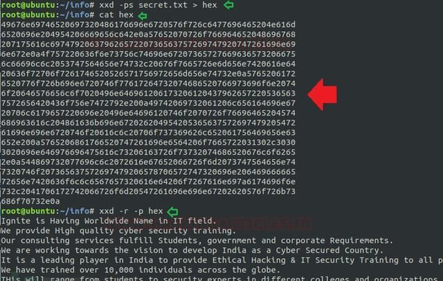 用于提权的Linux命令，即“xxd”用于提权的Linux命令，即“xxd”