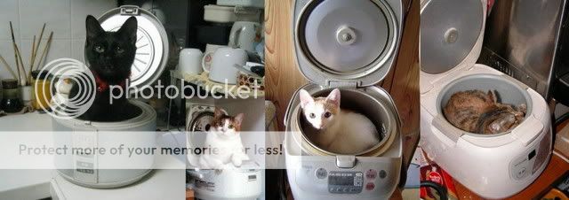 点击在新窗口中查看该图片