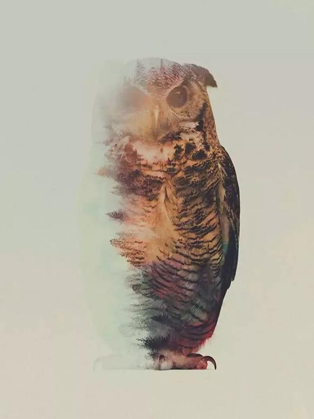 72cc613716445d88ddbcccfe5017b18f.png