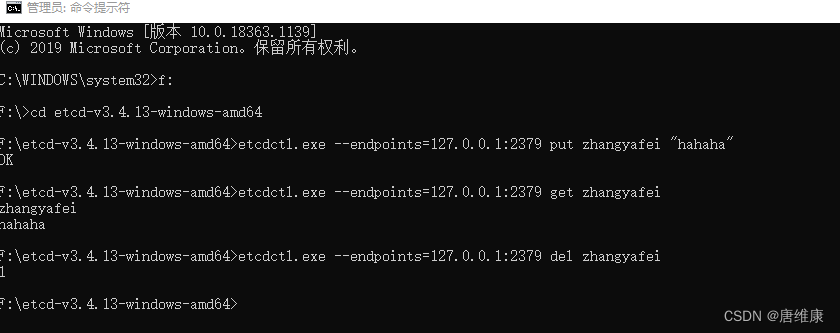 [外链图片转存失败,源站可能有防盗链机制,建议将图片保存下来直接上传(img-OS5BwxKk-1651574076514)(images/22_终端操作etcd.png)]