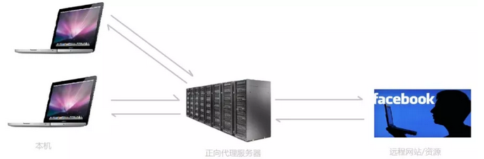 b9f697271ae396a6572bd25eb6266d2892d.jpg