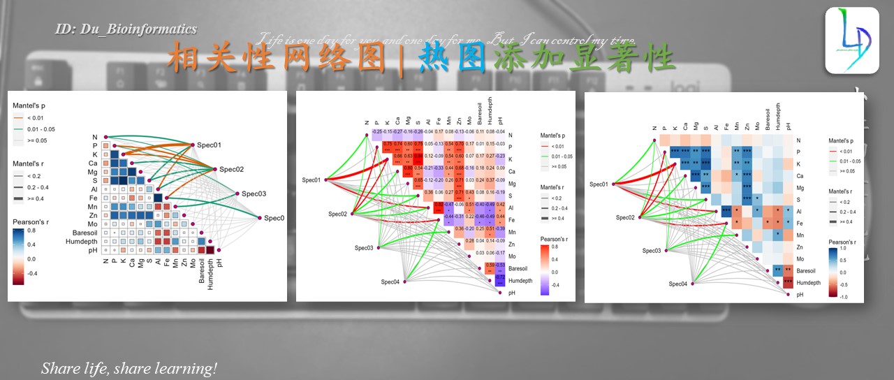 相关性网络图 |显著性标记_netet包-CSDN博客