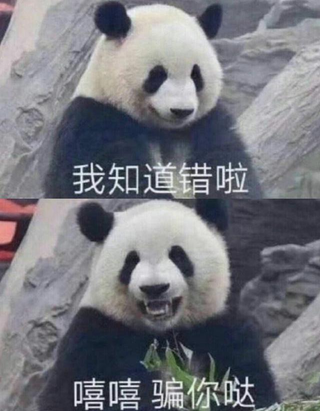 053f21f6f12552ae34e62a25c984c0cf.png