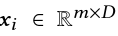 xi ∈ Rm×D