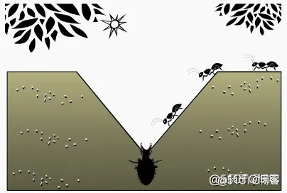 【优化求解】基于优选策略的自适应蚁狮优化算法matlab源码_matlab