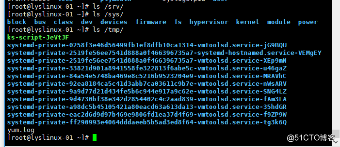 Linux系统目录结构