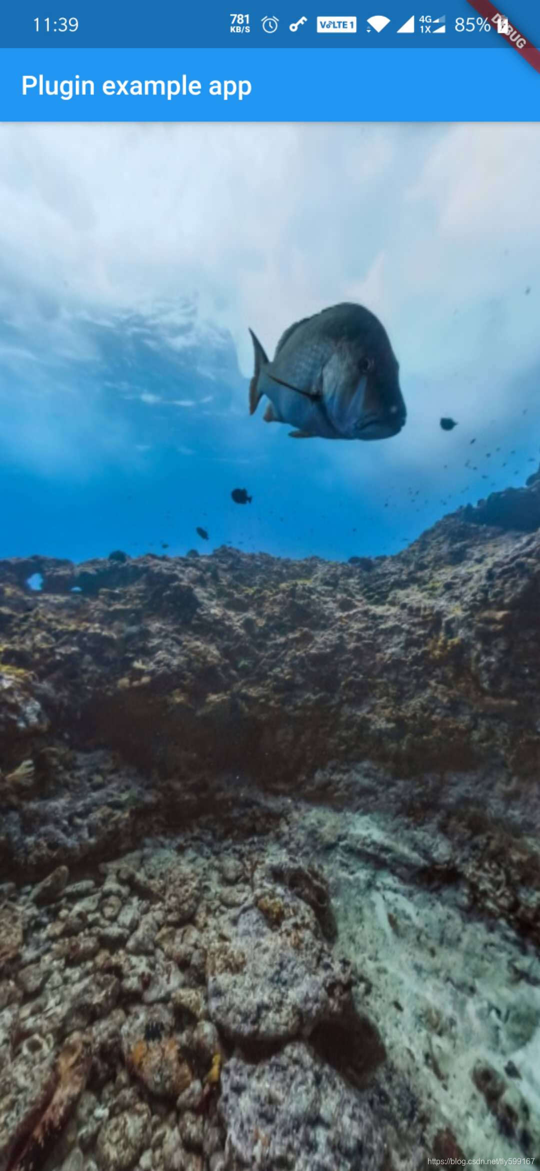 Flutter全景图组件