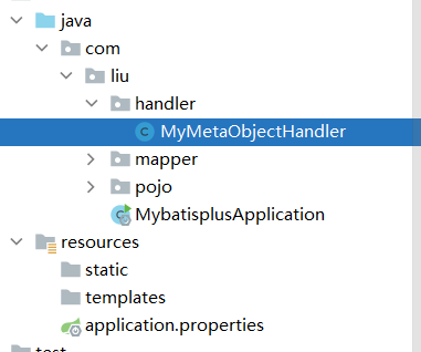 image-20210222191647666