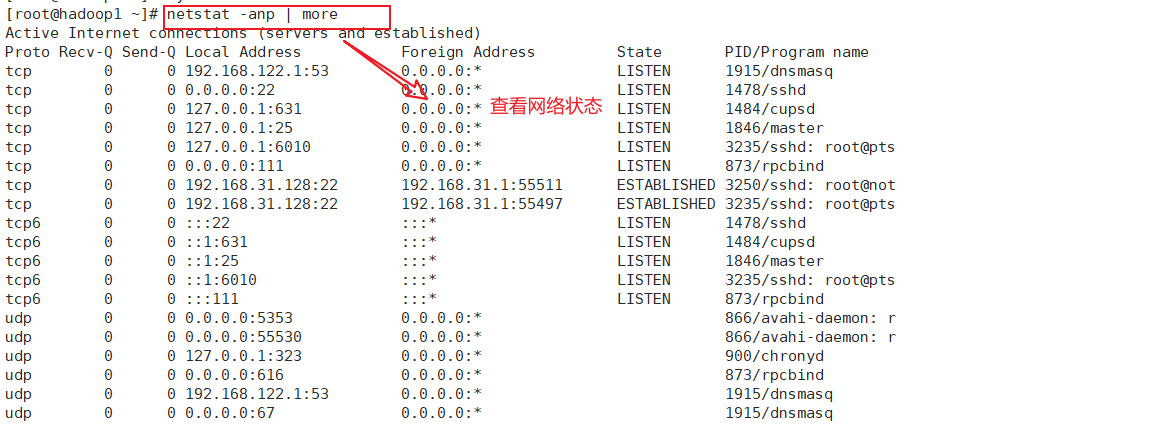 image-20210623082620812