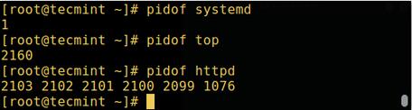 关于Linux进程你所需要知道的一切