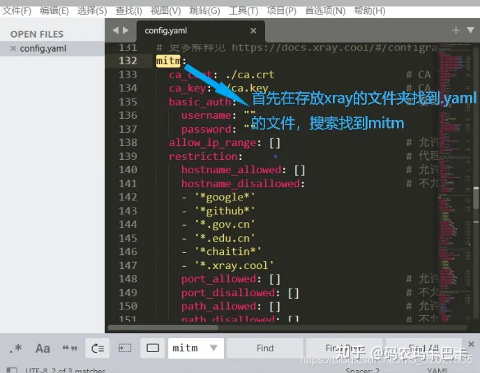 工具Xray的安装，入门的使用方法