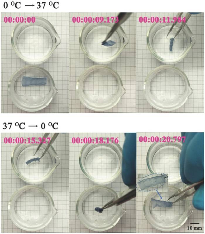 3D打印与静电纺丝相结合，实现快速响应和增强水凝胶致动器的可设计性