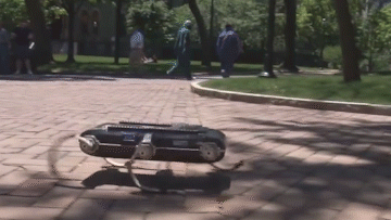 b2348215171908cf1ef101feee4a5b6f.gif