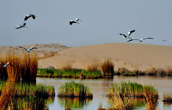 外媒评出的中国最美的地方
