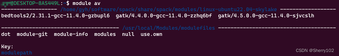 Environment Modules+Spack搭配使用，轻松安装各种软件