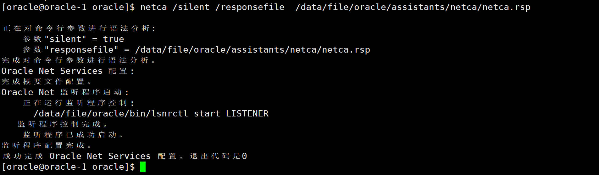 Oracle19c静默部署插图31 image-20240316154432783