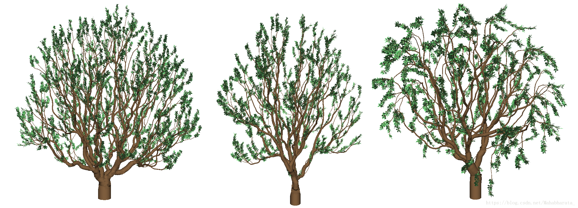 自组织生成的不同形态的植物模型