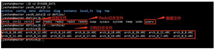 【YashanDB培训心得】--国产崖山数据库YCA认证学习day4_SQL_04
